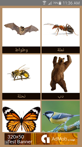 免費下載教育APP|الحيوانات | العربية app開箱文|APP開箱王