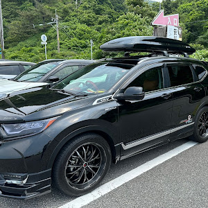 CR-V RW2