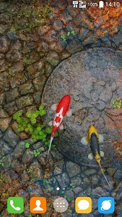 Water Garden Live Wallpaper MOD APK 1.66 [Full Unlocked] 5