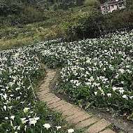 【竹子湖】苗榜花園餐廳