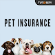 Download Pet Insurance Guide For PC Windows and Mac 1.0