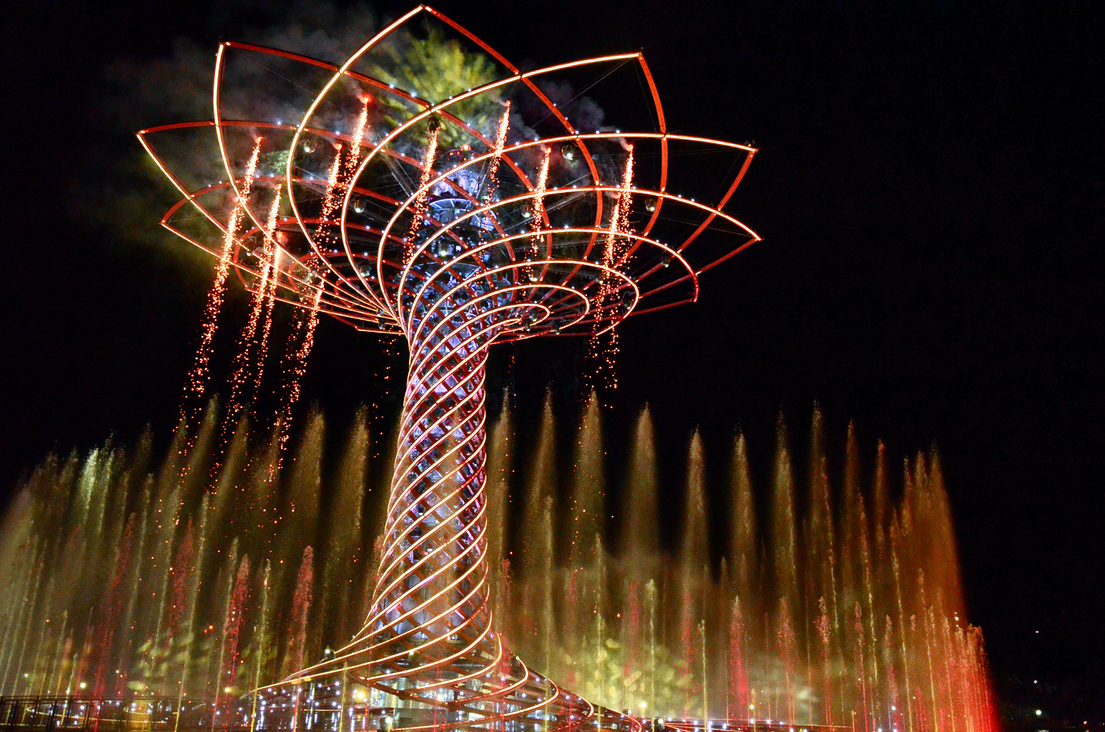 Albero di luce di nicoletta lindor