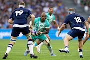 The Springboks' Bongi Mbonambi during their 2023 Rugby World Cup match against Scotland at Stade Velodrome in Marseille on Sunday. 