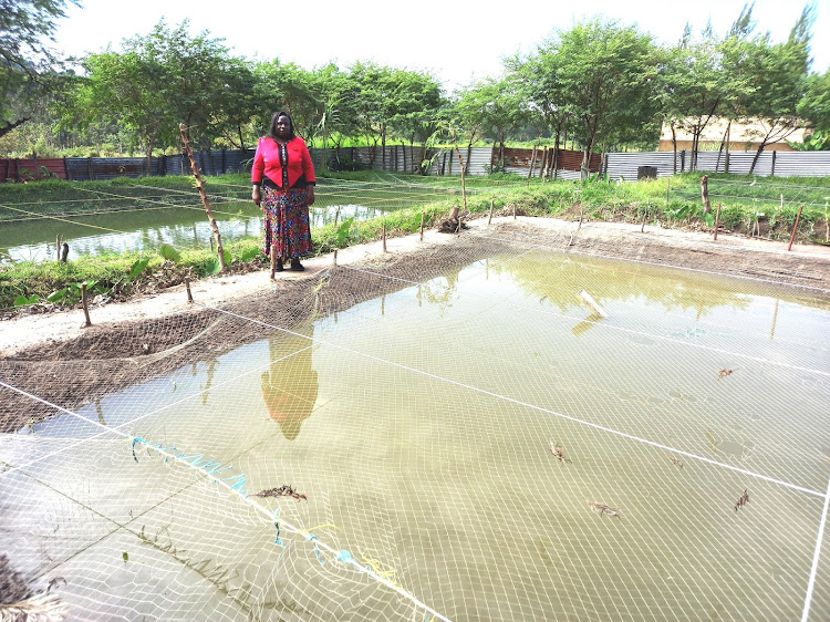 Elizabeth Asichi, a fish farmer in Western at her fish farm in Bungoma county