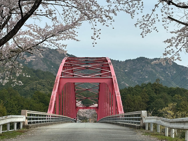 その他のスマートモニター　テスト・CBR250RR・桜 撮影・大台町・バイクチューンに関するカスタム事例の投稿画像3枚目