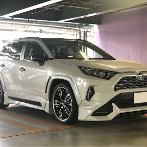 RAV4