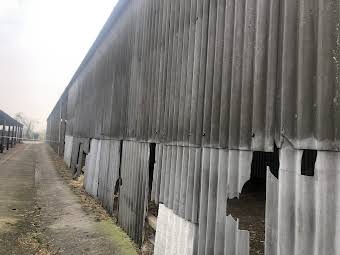 Asbestos cement cladding removal album cover