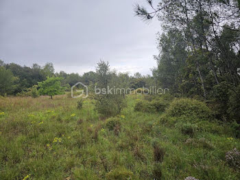 terrain à Aspères (30)