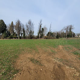 terrain à Saint-Martin-de-Crau (13)