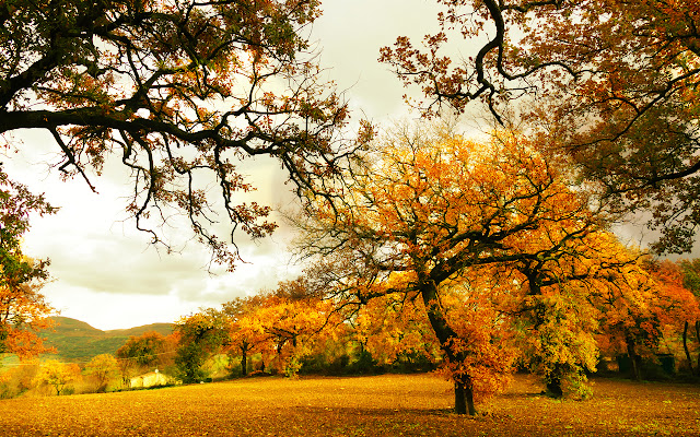 Autumn in the Tuscan ... di aughi