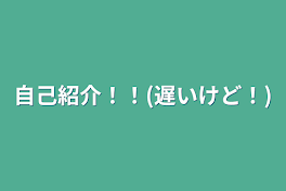 自己紹介！！(遅いけど！)