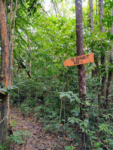 Bukit Berakit Hiking Trail Pulau Kapas