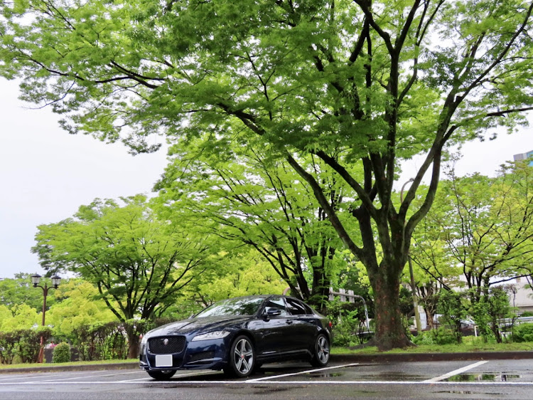 XFのずぶ濡れの愛車・過去pic・梅雨・赤煉瓦建物・水を得た魚に関するカスタム事例の投稿画像3枚目
