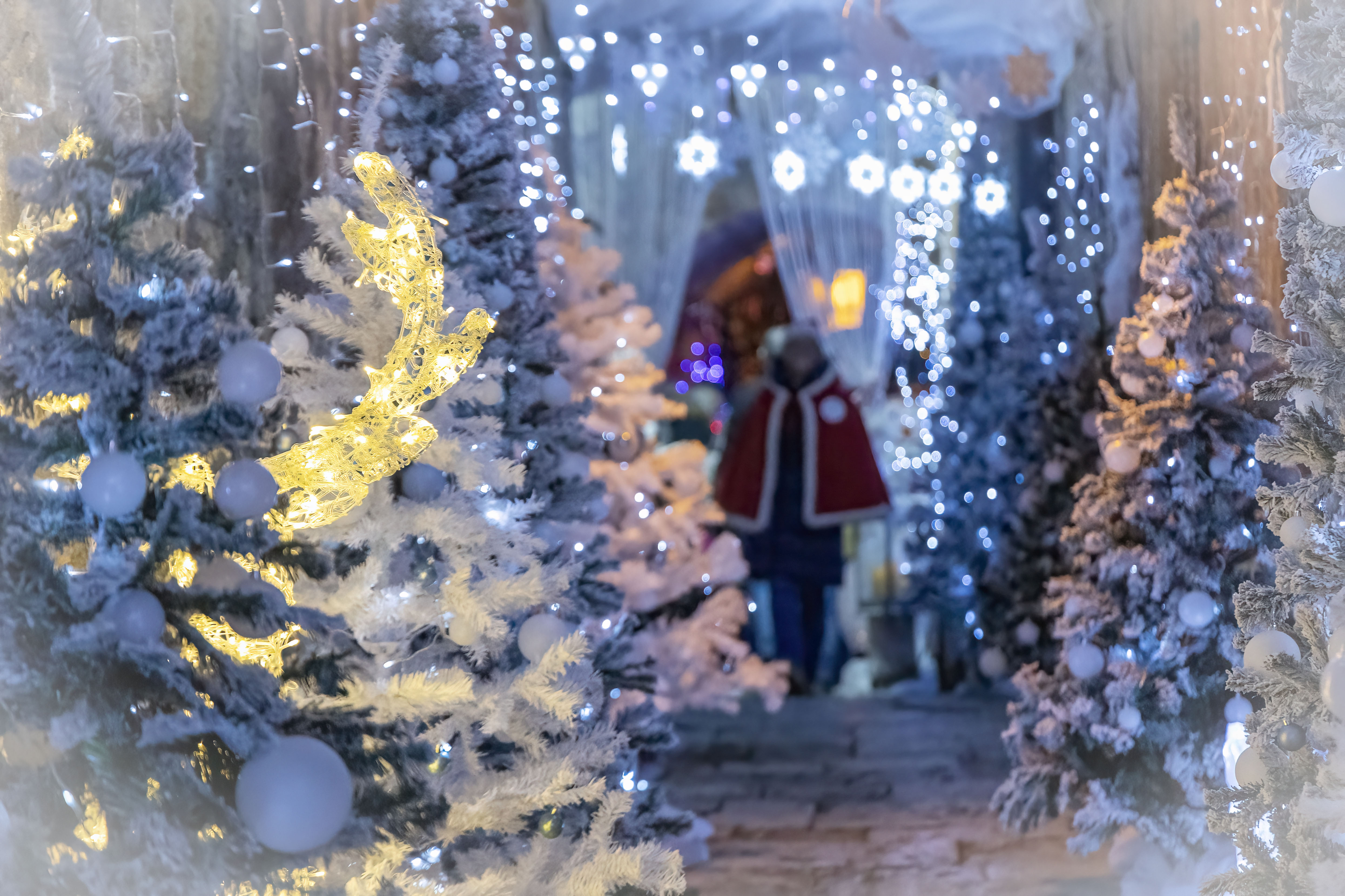 Cercando Babbo Natale di francofabbretti