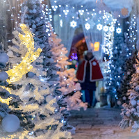 Cercando Babbo Natale di francofabbretti