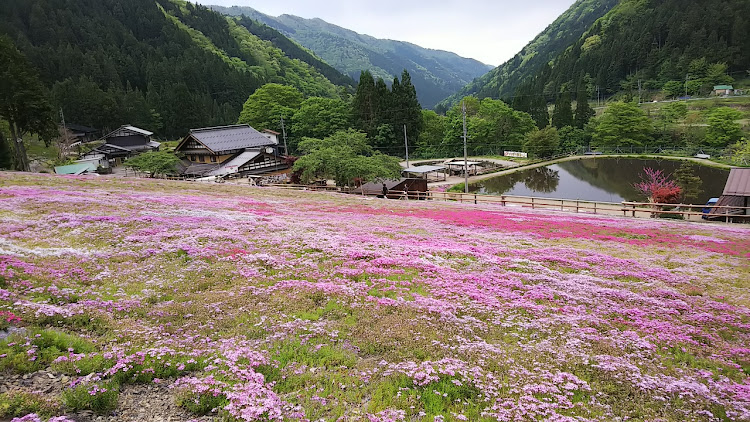 の投稿画像1枚目