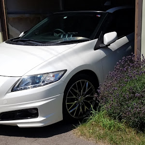 CR-Z ZF1