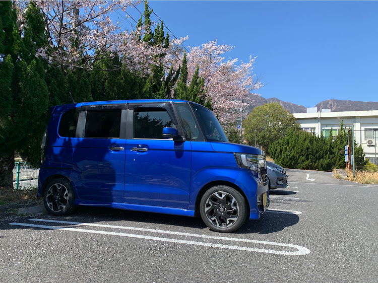 コウさんが投稿した別府公園に関するカスタム事例の投稿画像1枚目