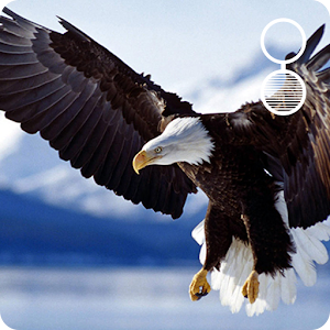 Live Eagle Wallpaper Android Apps On Google Play