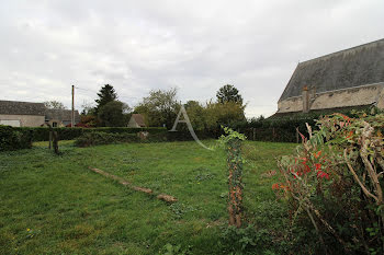 terrain à Sainte-Gemmes (41)