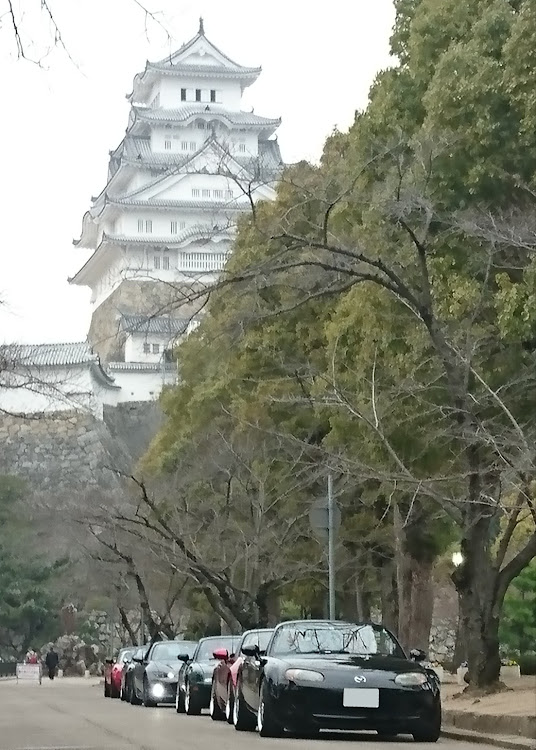 ロードスターの眼力選手権・菜の花と愛車・行き当たりバッタリぱぱいやさん大ちゃん上陸記念ツーリング🎶🚗💨🎶・諭鶴羽ダム花見ツーリング告知に関するカスタム事例の投稿画像41枚目