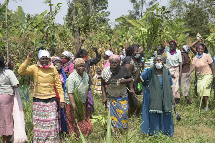 Women in Kang'oo village, Gatundu North, protest gang-raping of a mother of three on August 11, 2020