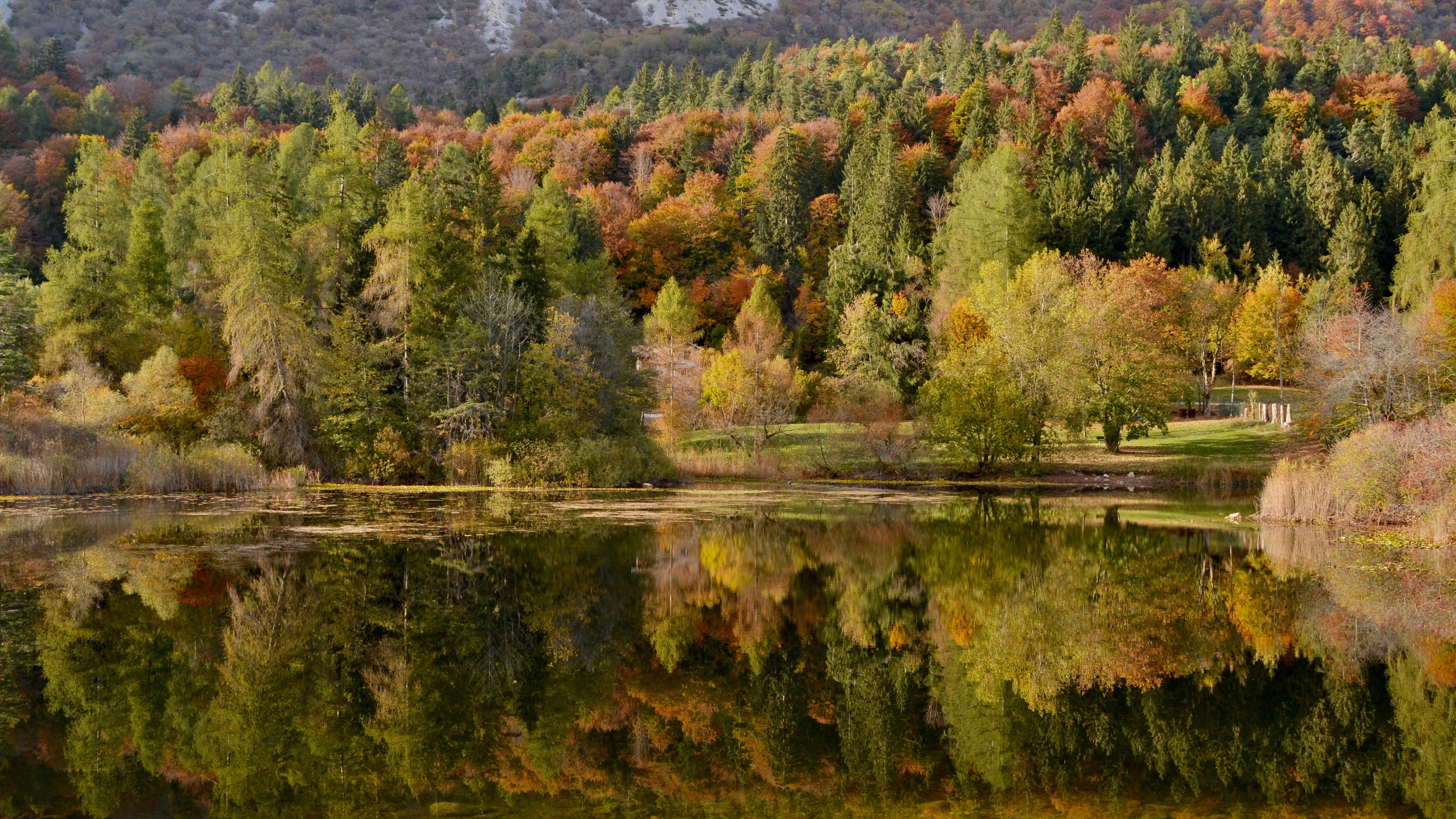 Riflessi autunnali di giuseppedangelo