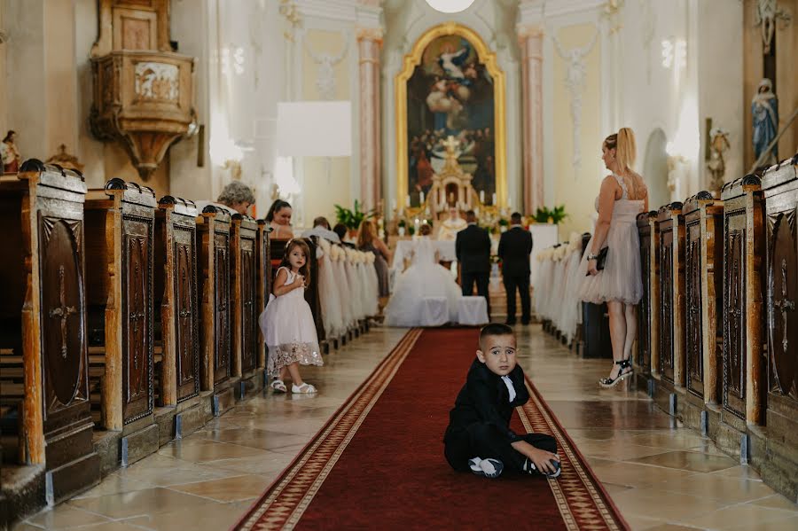 Wedding photographer Gábor Badics (badics). Photo of 2 September 2022