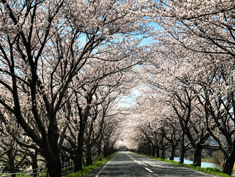 の投稿画像2枚目