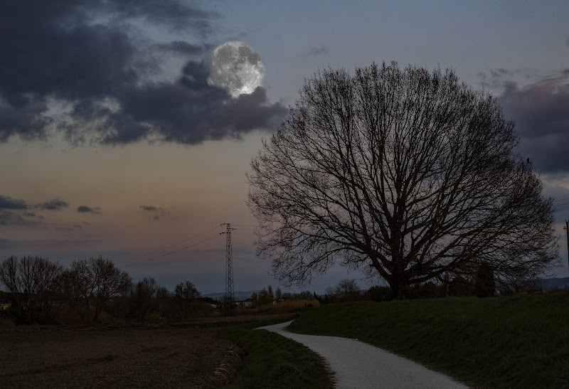 Timidamente vero la notte di girolamo_viscusi