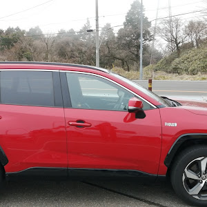 RAV4 AXAP54