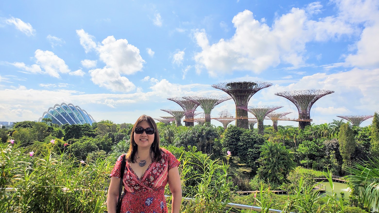 Guide to Visiting Gardens by the Bay, Singapore