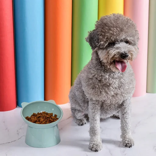 for Cat Food Bowl Tilted Raised Posture Neck for Protection Anti Vomiting 45° Sl