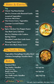 Solanas Chinese & Thai menu 1