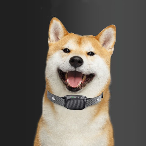 Title 5, Electric Dog Barking Stop Collar Effective Bark...
