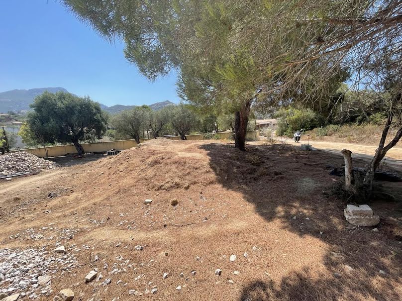 Vente terrain à batir  600 m² à Calvi (20260), 390 000 €