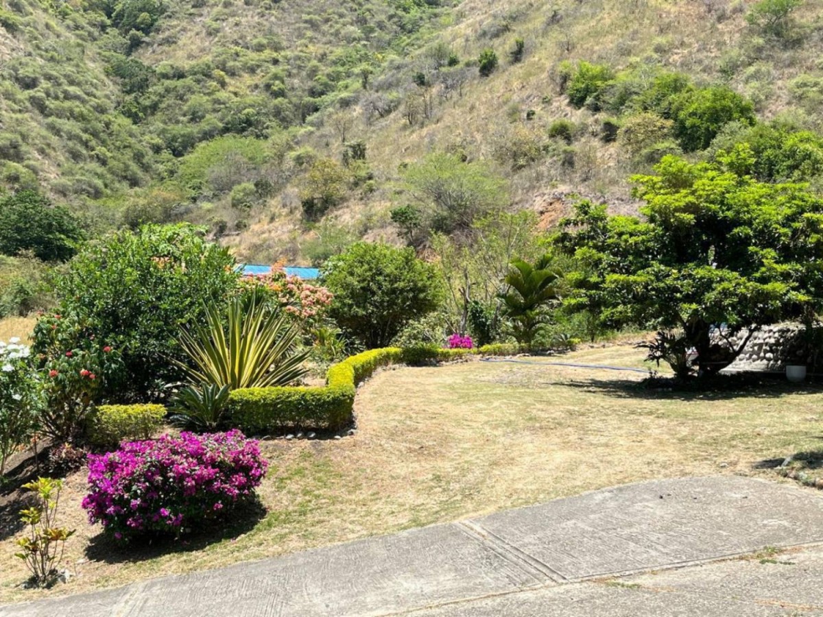 Finca En Venta - Villa Cangrejo, Vijes