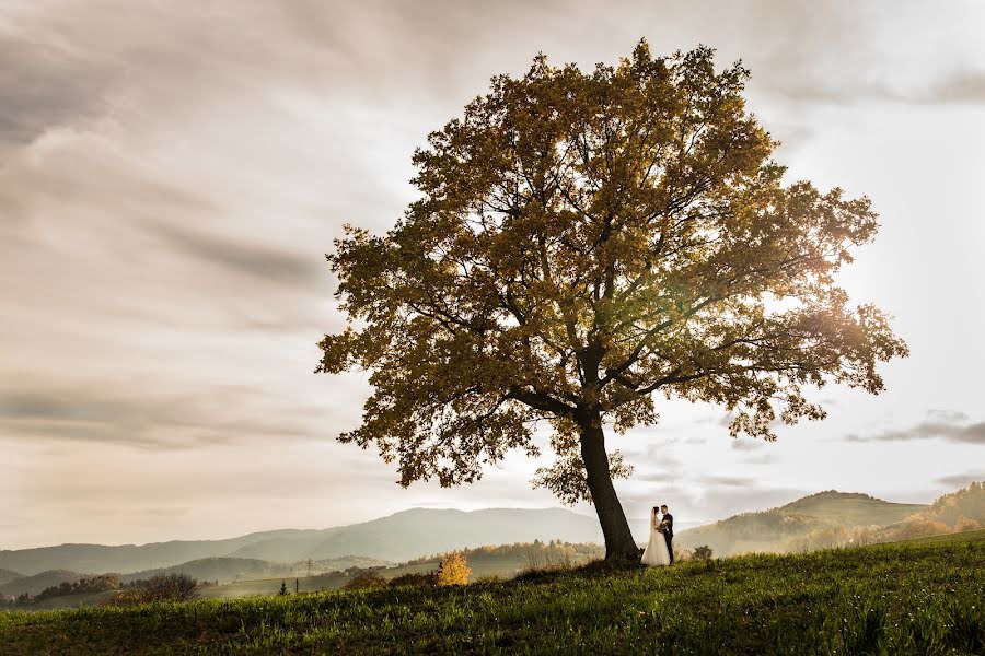 結婚式の写真家Marcin Olszak (marcinphoto)。2018 2月4日の写真