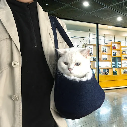 Pets Carrier for Cat Carrying Bag for Cat Backpack Panier Handbag for Cats Travel Plush Cats Bag Bed Puppy Pet Cat Acces