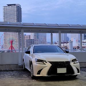 GS GWL10