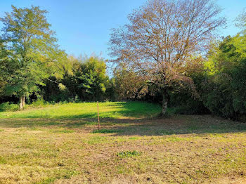 terrain à Pompignac (33)