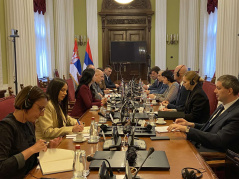 Delegacija poslanika Rusije u Skupštini Srbije