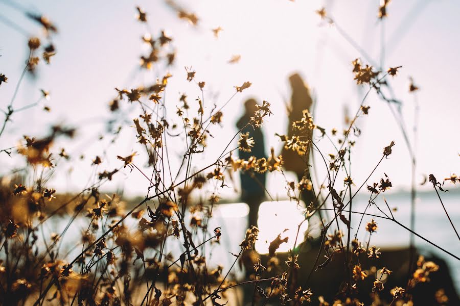 Wedding photographer Kseniya Maksimova (ksmaximova). Photo of 1 November 2016