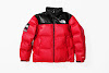 supreme the north face leather nuptse jacket red