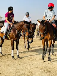 Horse Master riding club photo 5