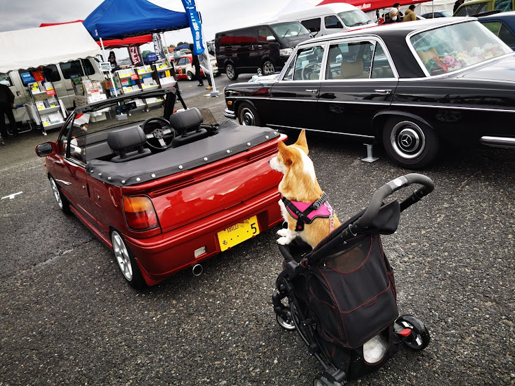 スターレットの昭和レトロカー万博・昭和レトロカー万博2022・リベンジ投稿に関するカスタム事例の投稿画像8枚目