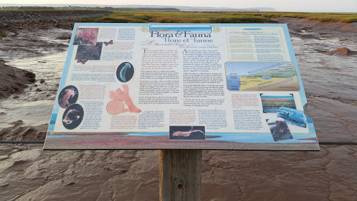 Flora & Fauna Informational Board