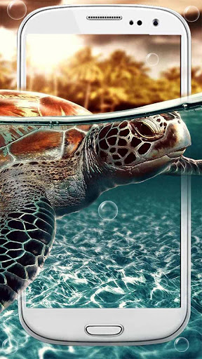 Tortoise Live Wallpaper