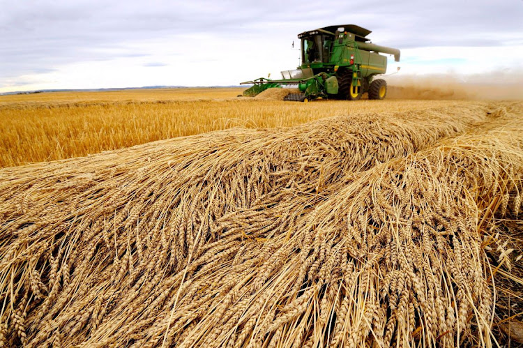 Statistics SA figures show that the agriculture industry shrank by 7.7% and contributed -0.2 of a percentage point to GDP growth in the second quarter of 2022. File photo.