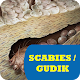 Download Obat Scabies Gudik For PC Windows and Mac 1.4.0